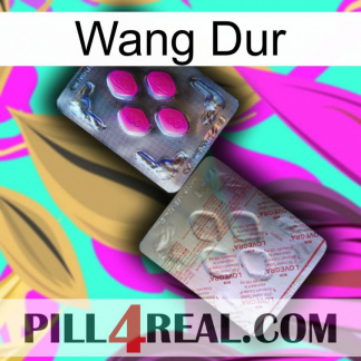 Hard Wang 38